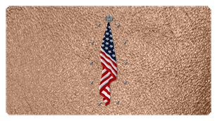 DSC700 421 SH BZ Flag at Rest Shimmer Bronze